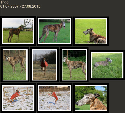 Trigo 01.07.2007 - 27.08.2015