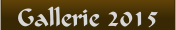 Gallerie 2015